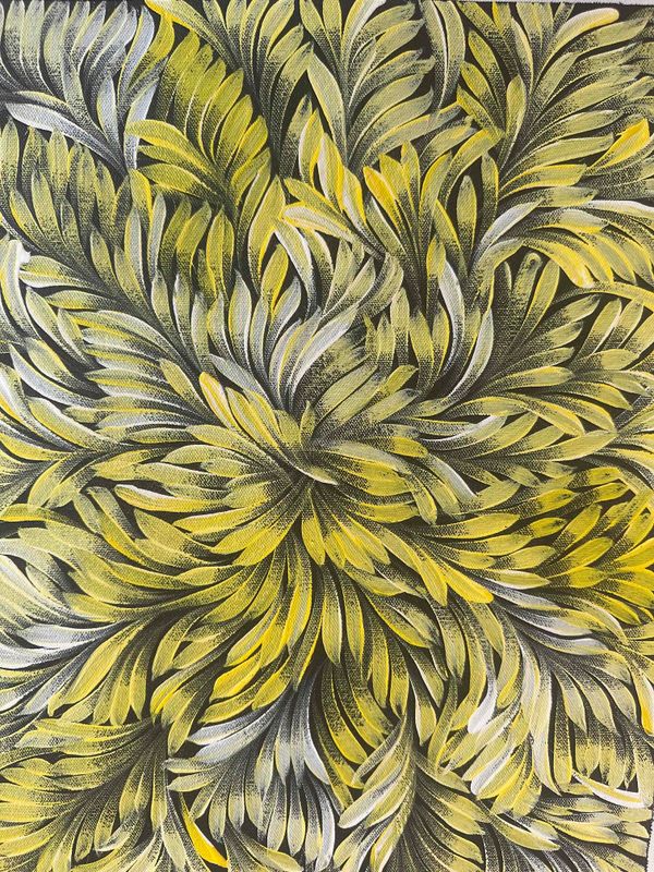 Jacinda Hayes: Capturing Bush Medicine Leaves in Art  30x41cm FJ462