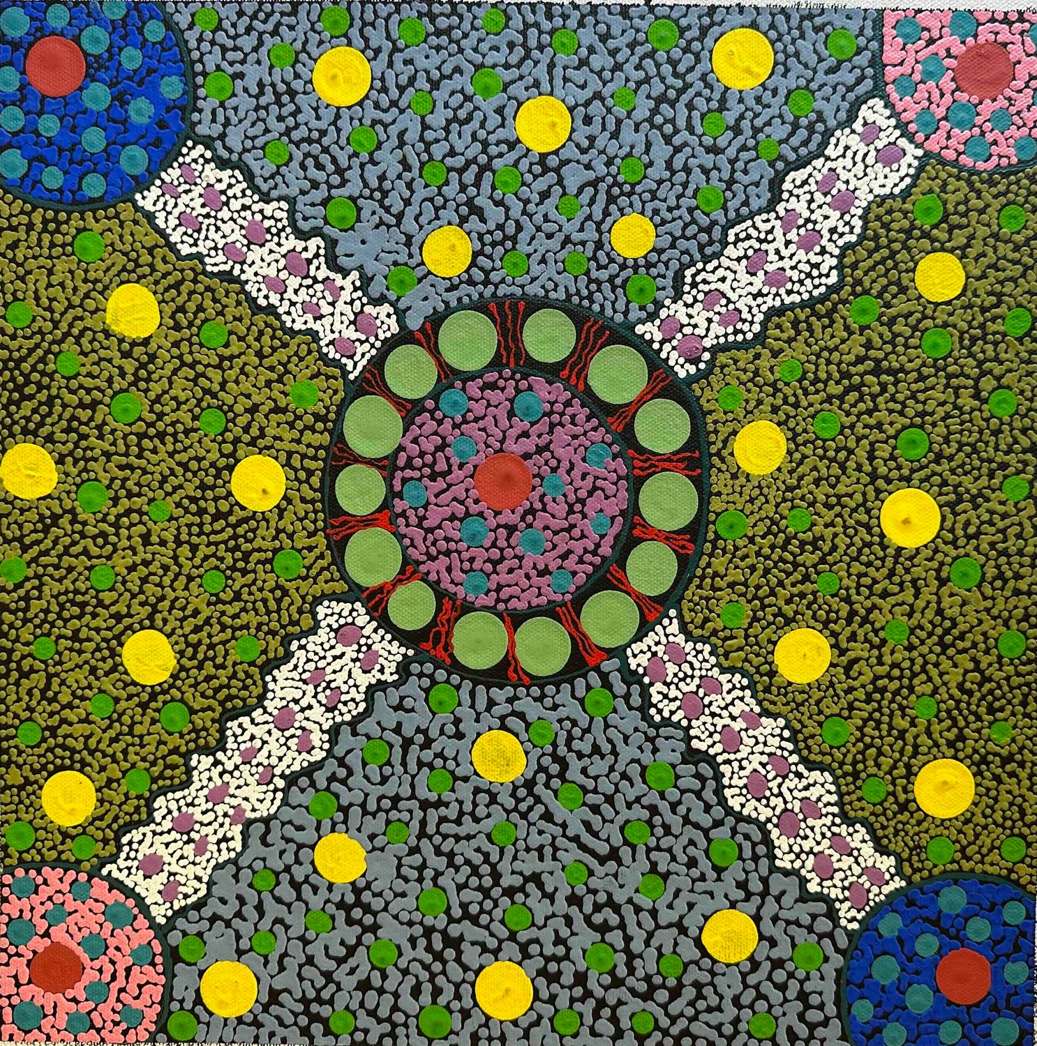 Dreaming Tracks by Claire E. Hayes Peltharre 32x32cm FJ053CEH