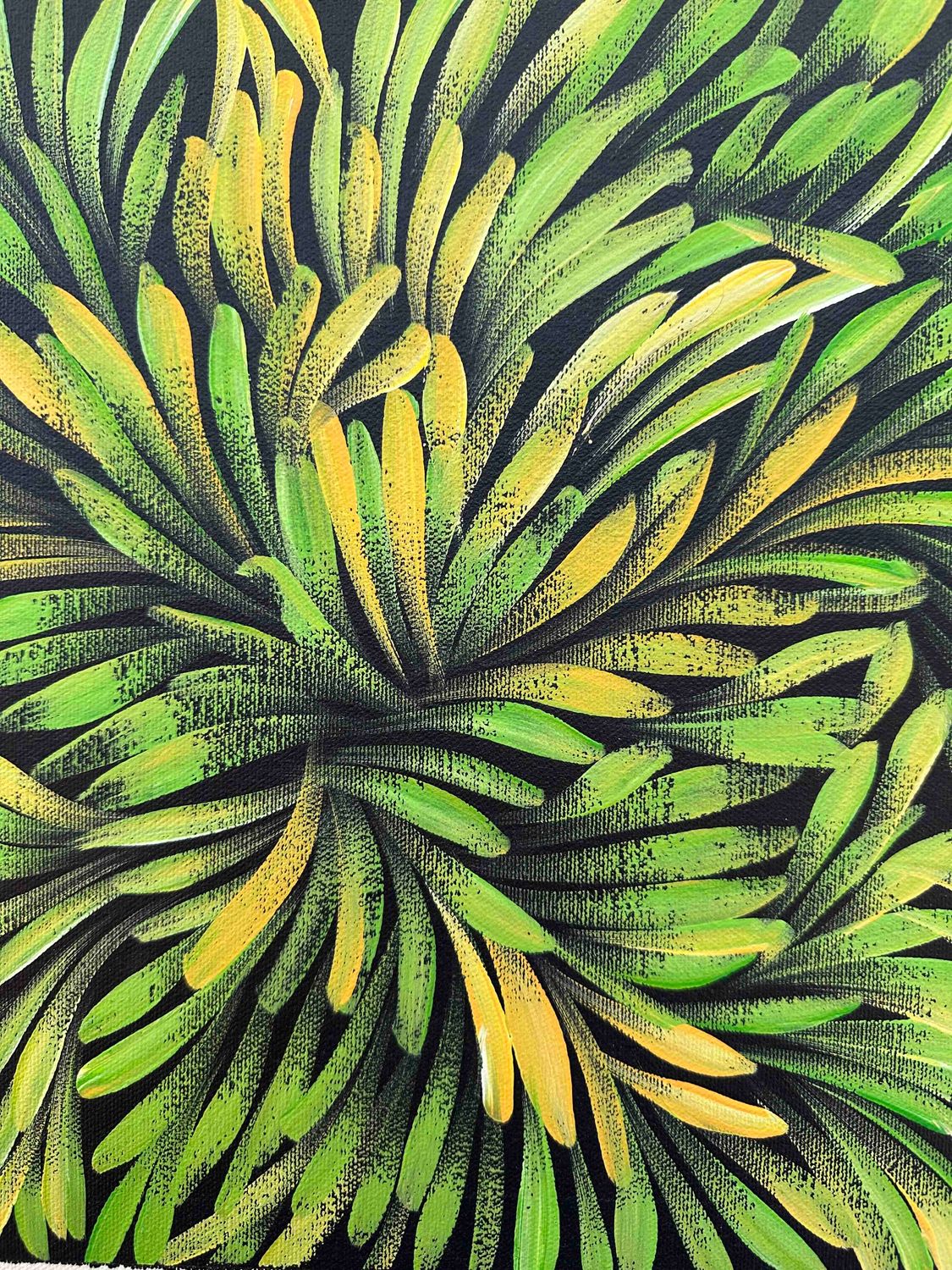 Jacinda Hayes: Capturing Bush Medicine Leaves in Art, 30x30cm FJ463aJH