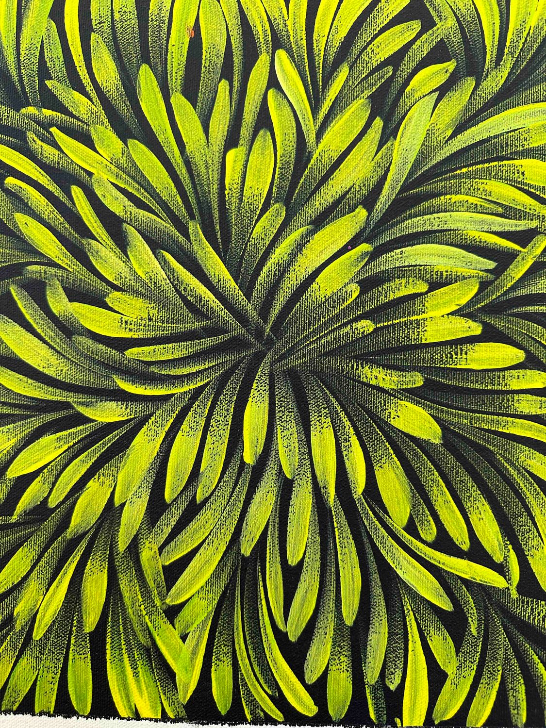 Jacinda Hayes: Capturing Bush Medicine Leaves in Art, 30x30cm FJ485JH