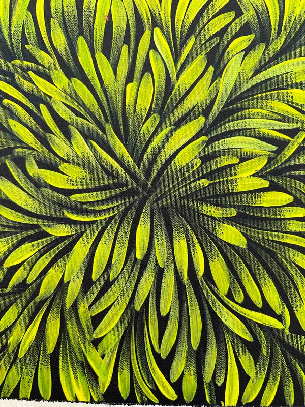 Jacinda Hayes: Capturing Bush Medicine Leaves in Art, 30x30cm FJ485JH