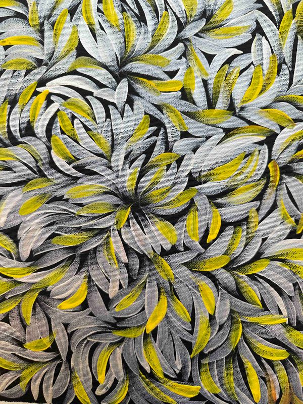 Bush Leaf Medicine by Margaret Scobie, 32x32cm FJ075MS