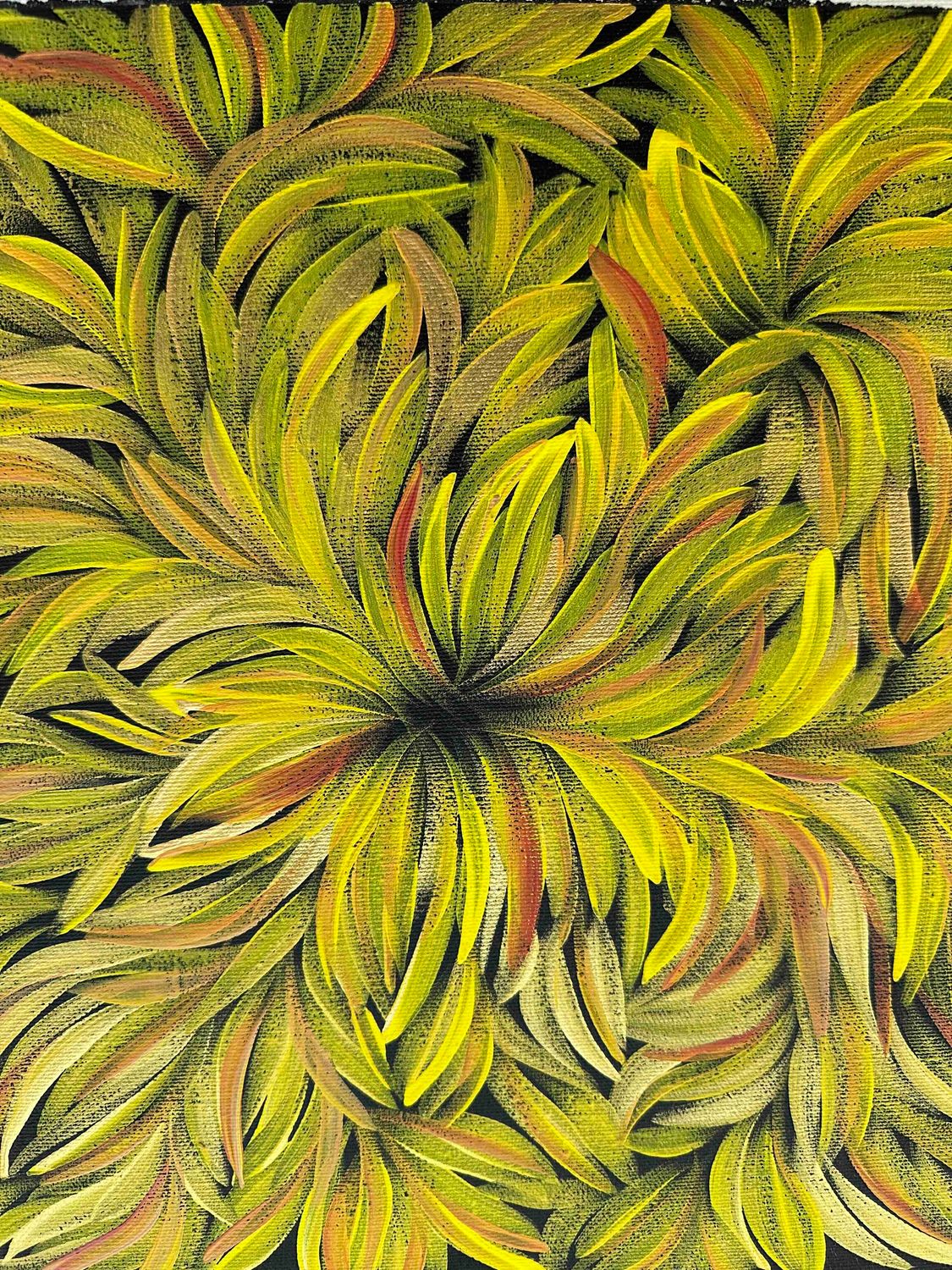 Bush Leaf Medicine by Margaret Scobie, 30x30cm FJ074MS