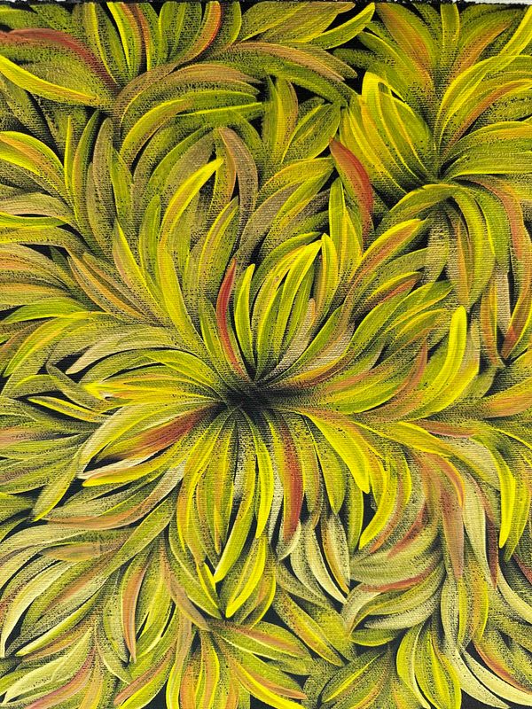 Bush Leaf Medicine by Margaret Scobie, 30x30cm FJ074MS