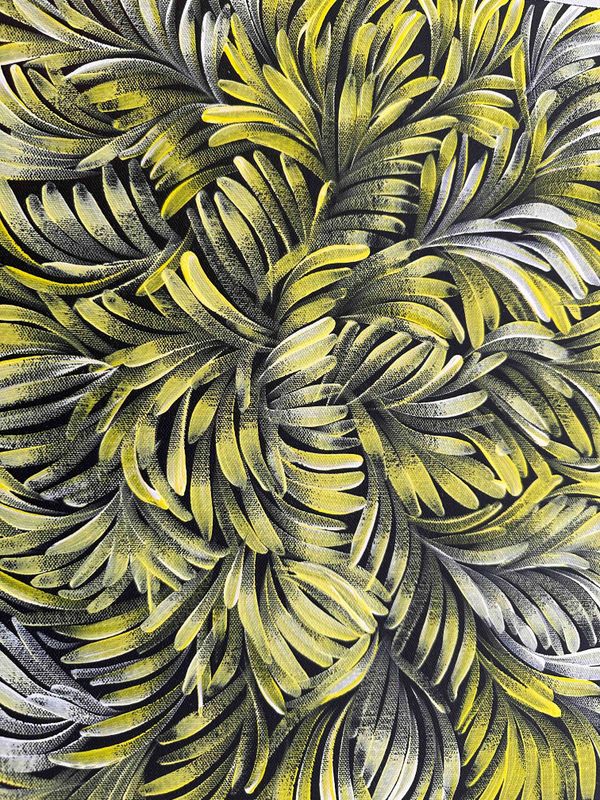 Jacinda Hayes: Capturing Bush Medicine Leaves in Art, 30x41cm FJ483JD