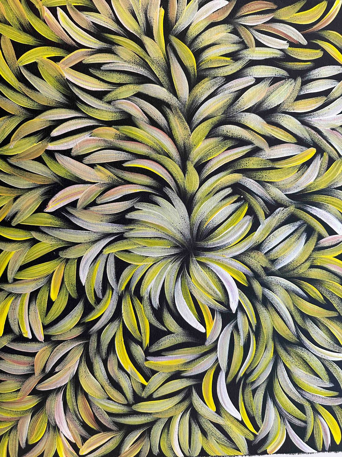 Margaret Scobie: Capturing Bush Medicine Leaves in Art, 30x41cm FJ477JD