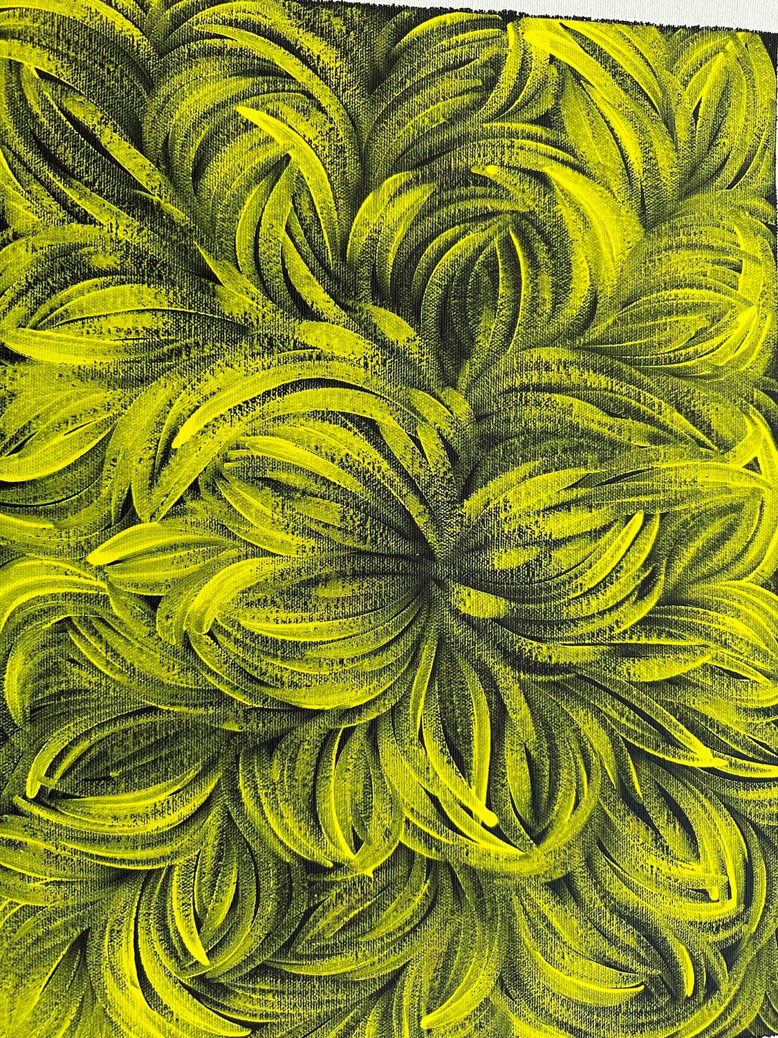 Jacinda Hayes: Capturing Bush Medicine Leaves in Art, 30x41cm FJ482JD