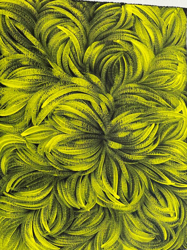 Jacinda Hayes: Capturing Bush Medicine Leaves in Art, 30x41cm FJ482JD