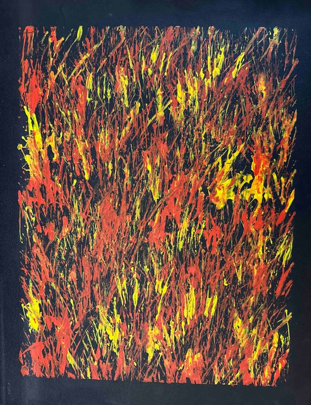 Tjanpi Kampanyi Series by Trephina Sultan (Thanguwa): 33x43cm FJ701TS