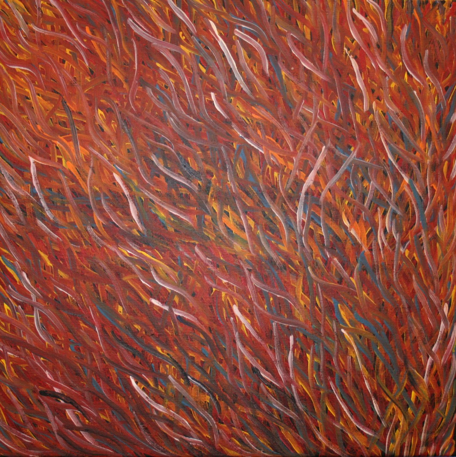Grass Seed Dreaming  by Barbara Weir, 60x60cm