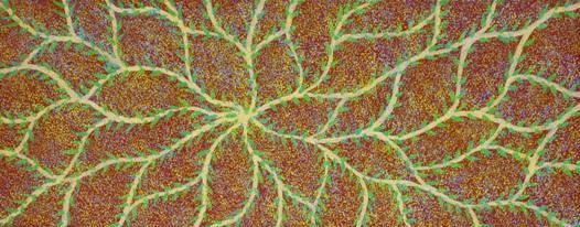 Bush Plum Dreaming by Mary Jones Ngale, 36x92cm 6094MJ