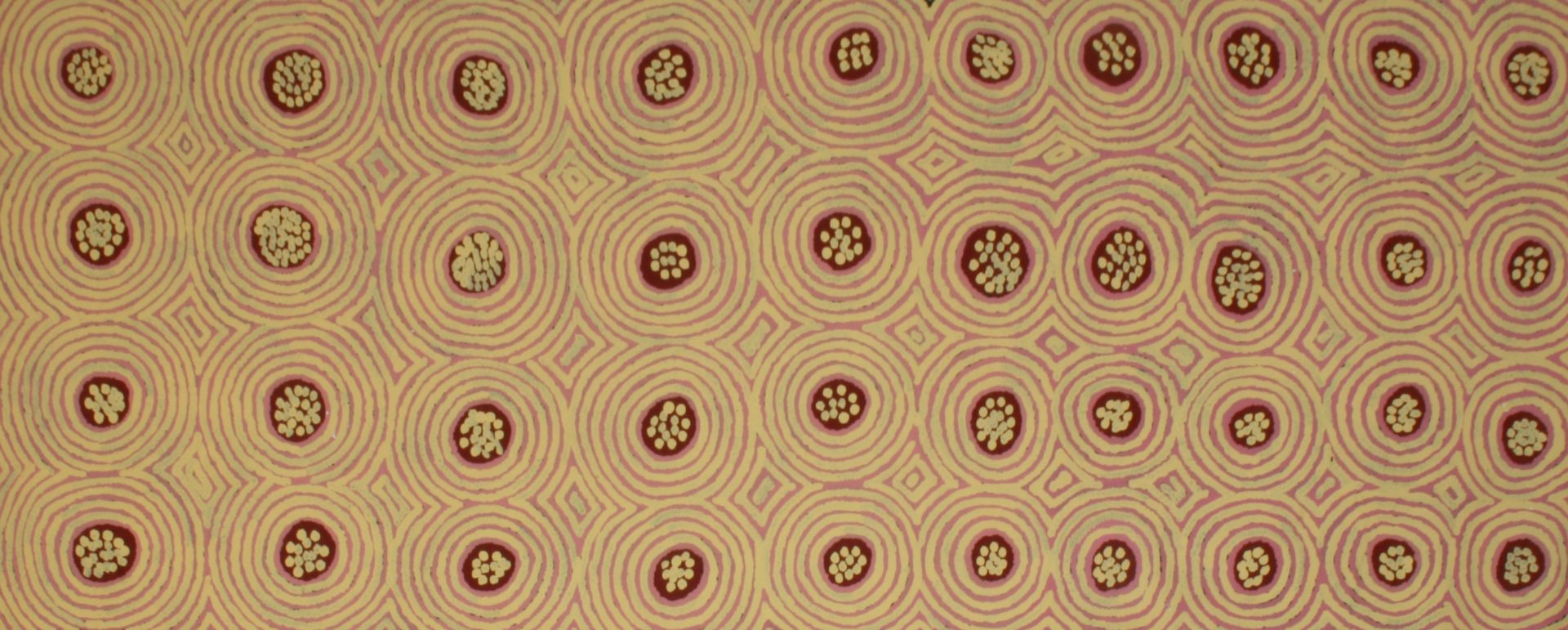 Bush Seeds and Rockholes 2000 by Abie Kemarre Loy, 152x61cm 5654AL