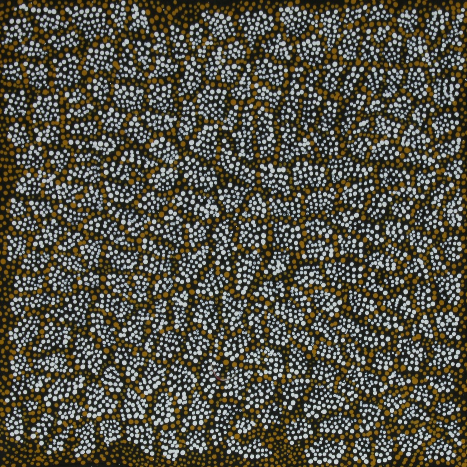 Ngapa Jukurrpa by Sabrina Nangala Robertson 61x61cm 7963SR