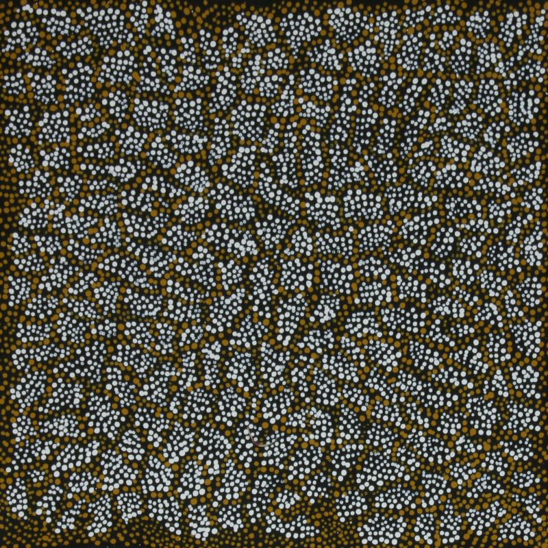 Ngapa Jukurrpa by Sabrina Nangala Robertson 61x61cm 7963SR
