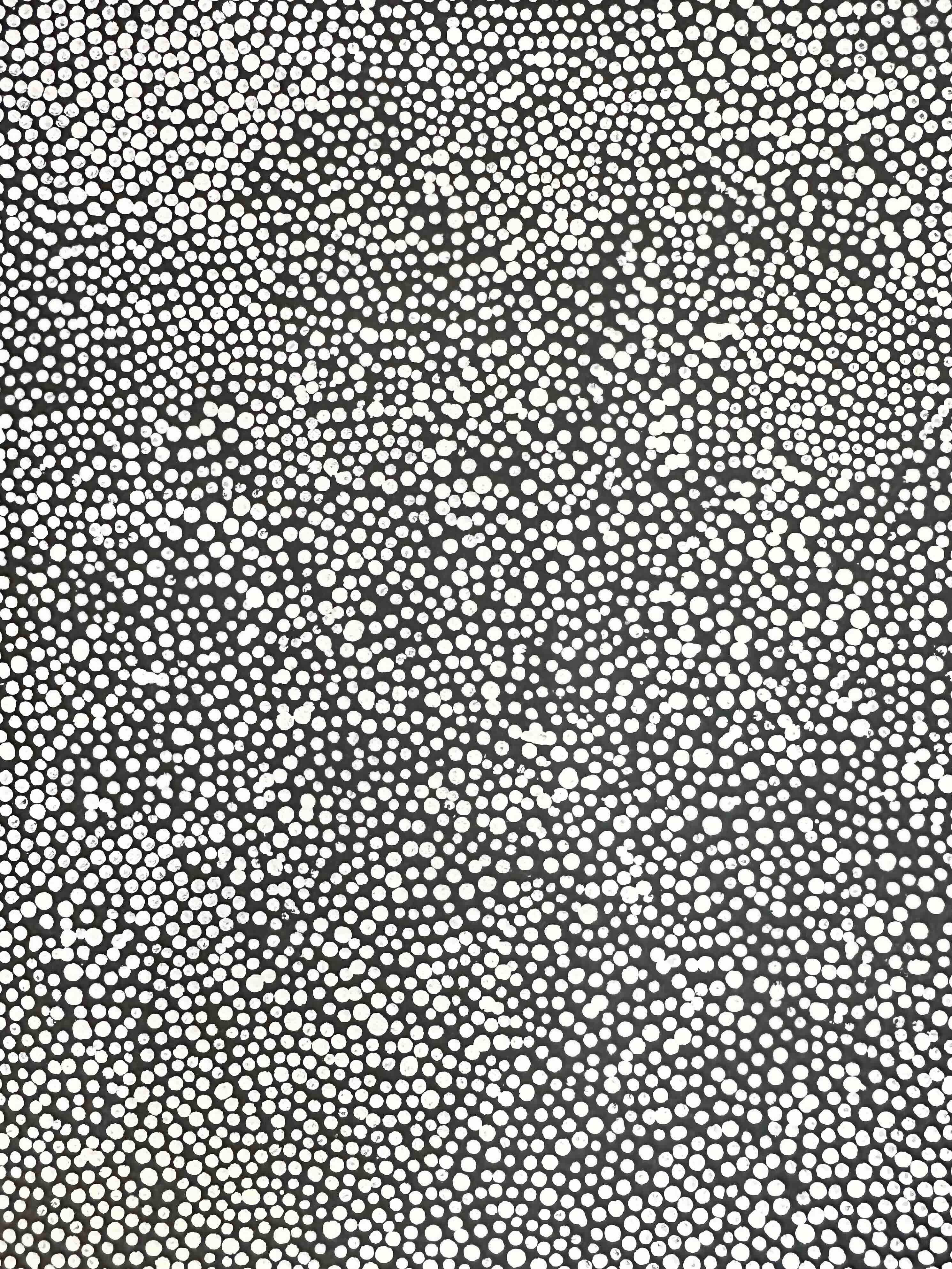 Pirlinyanu 2002 by Julie Nangala Robertson, 41x41cm 7765JR