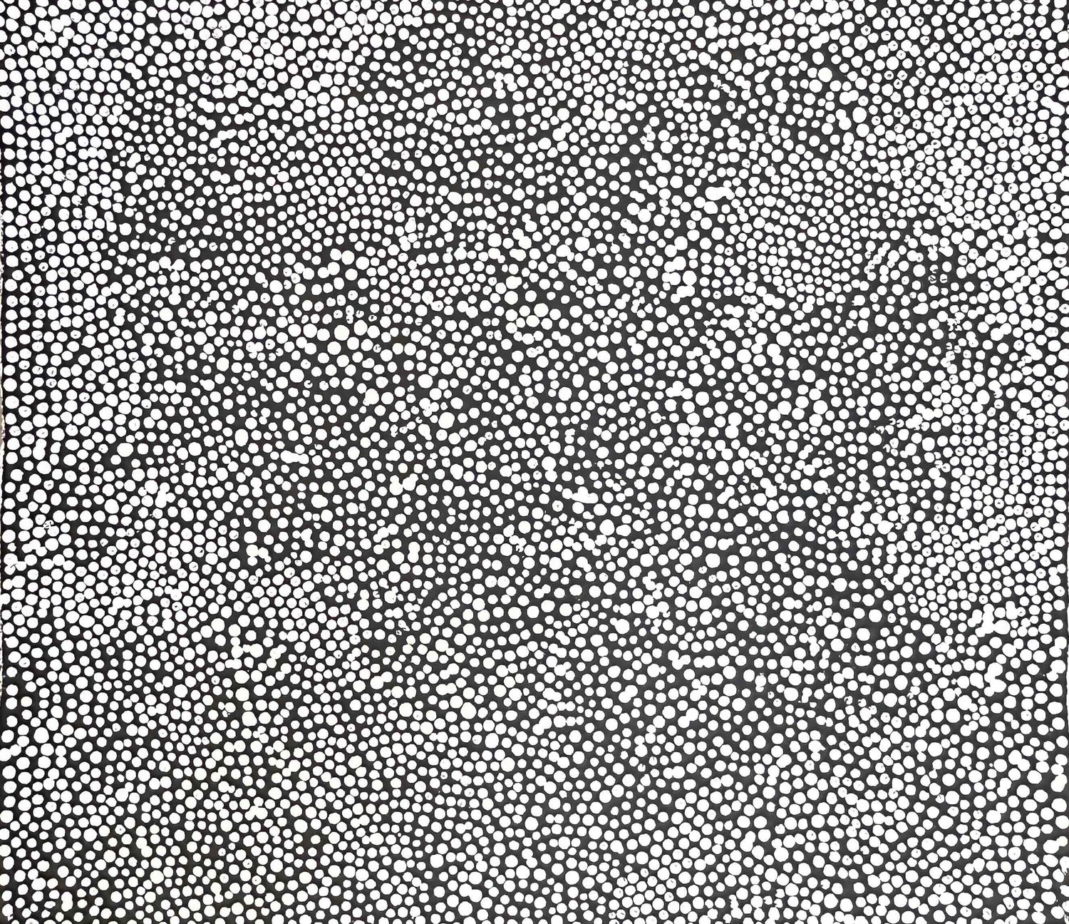Pirlinyanu 2002 by Julie Nangala Robertson, 41x41cm 7765JR