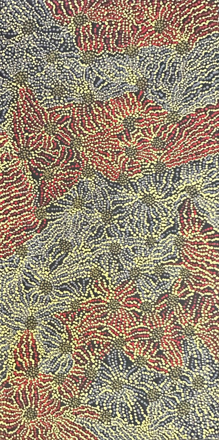 Pirlinyanu 2002 by Julie Nangala Robertson, 61x31cm 7295JR