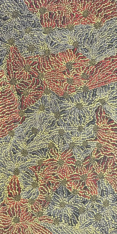 Pirlinyanu 2002 by Julie Nangala Robertson, 61x31cm 7295JR