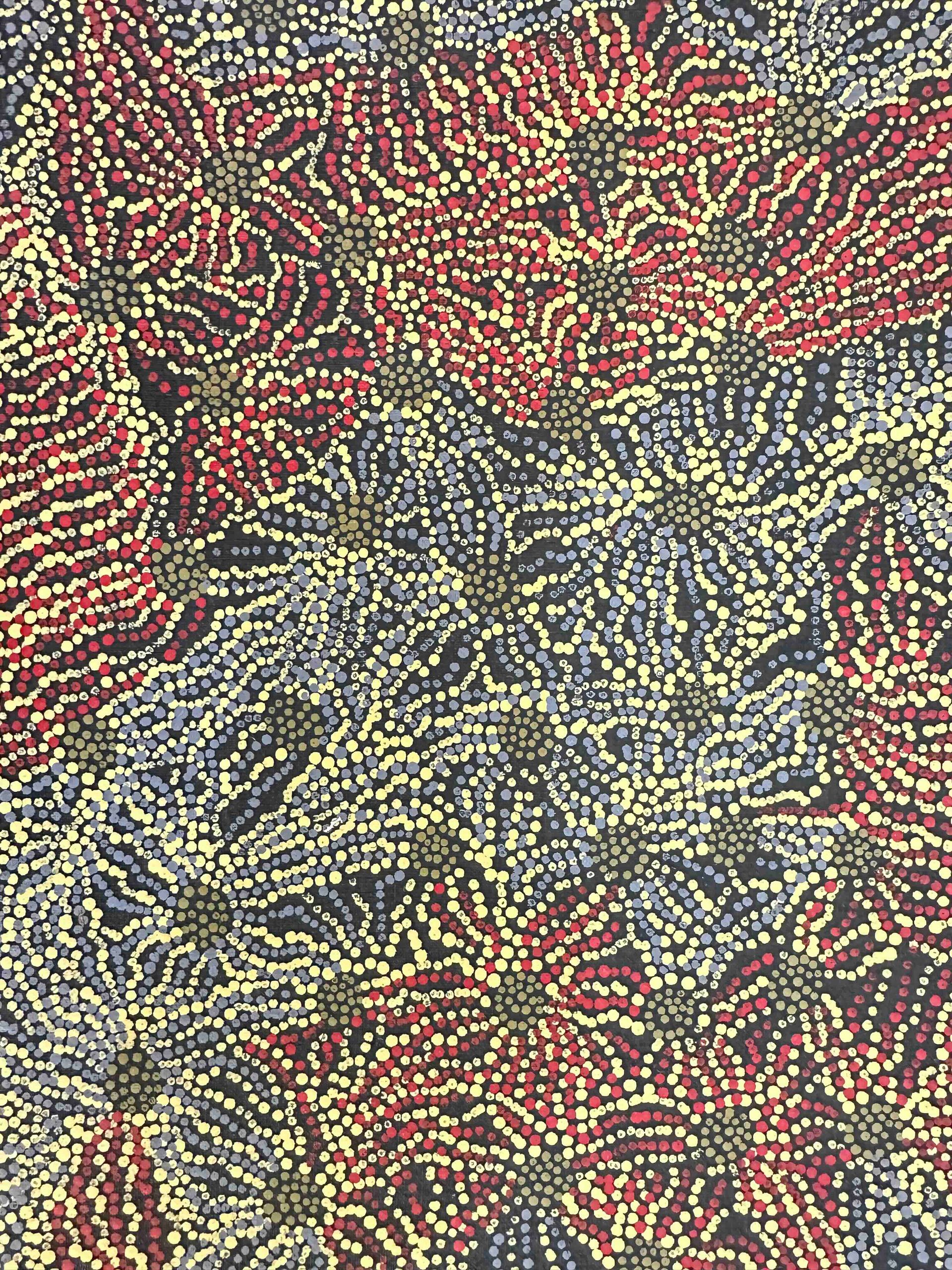 Pirlinyanu 2002 by Julie Nangala Robertson, 61x31cm 7295JR