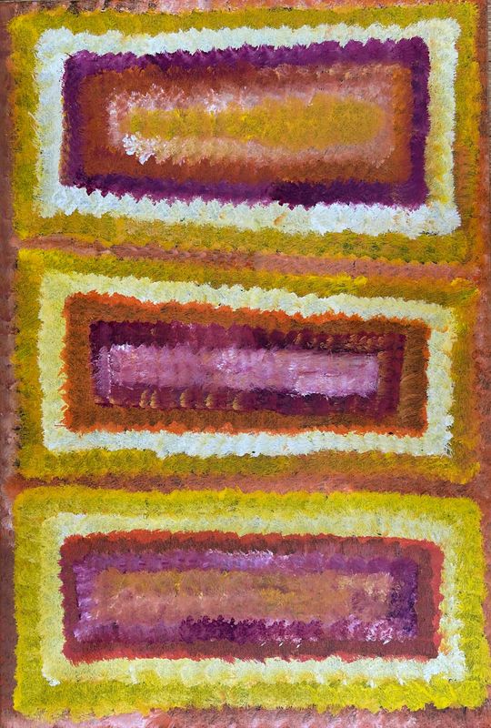 Bush Yam Dreaming 2007 by Evelyn Pultara 62x93cm