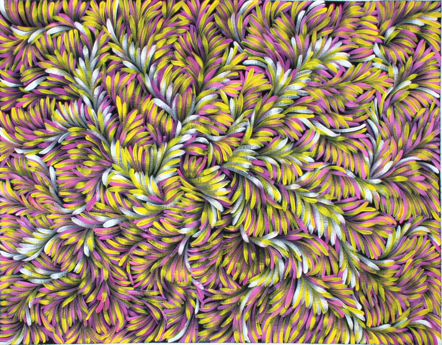 Jacinda Hayes: Capturing Bush Medicine Leaves in Art 89x63cm