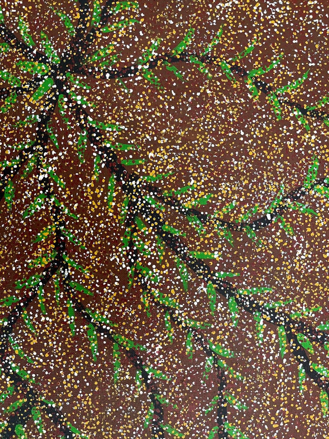 Bush Plum Dreaming by Mary Jones Ngale, 130x61cm 5001MJ