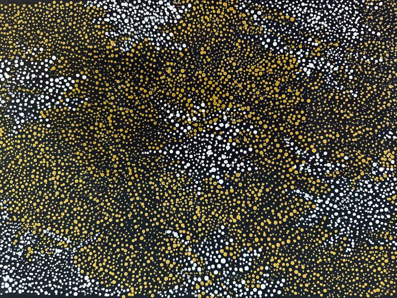 Ngapa Jukurrpa  by Sabrina Robertson 31x61cm  8531SR