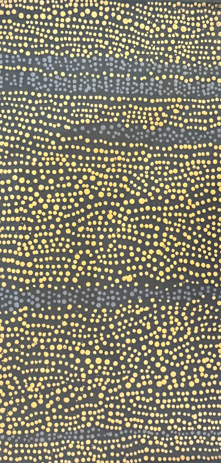 Pirlinyanu 2004 by Julie Nangala Robertson, 61x31cm 8802JR