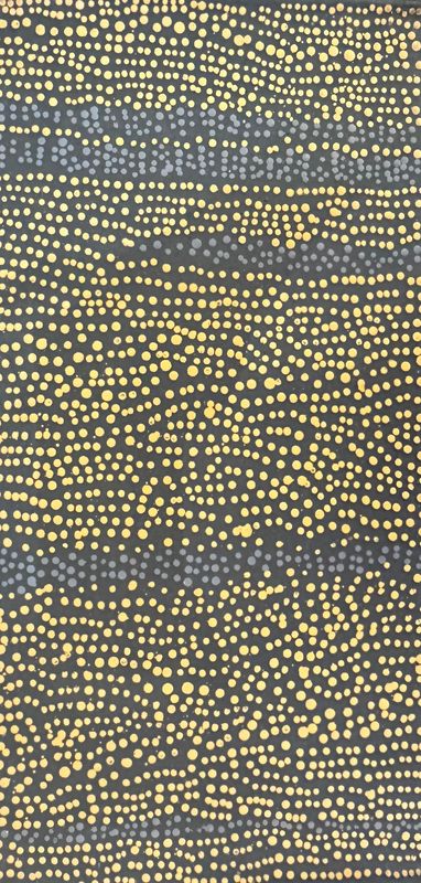 Pirlinyanu 2004 by Julie Nangala Robertson, 61x31cm 8802JR