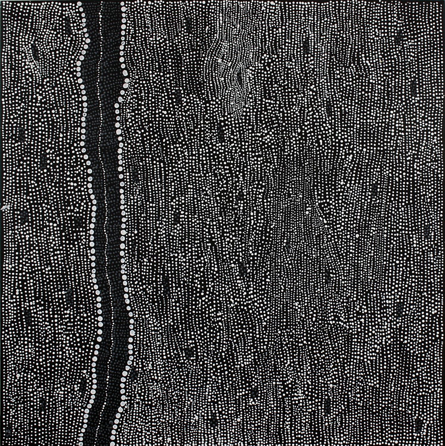 Pirlinyanu Diptych, 2011 by Julie Nangala Robertson, 91x182cm