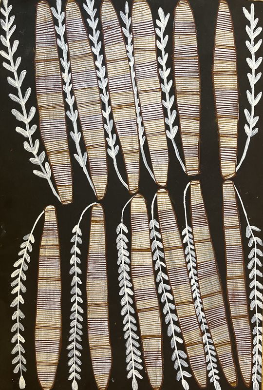 Yam Dreaming by Bob Wanur Namundja Injalak 61x41cm WOP12