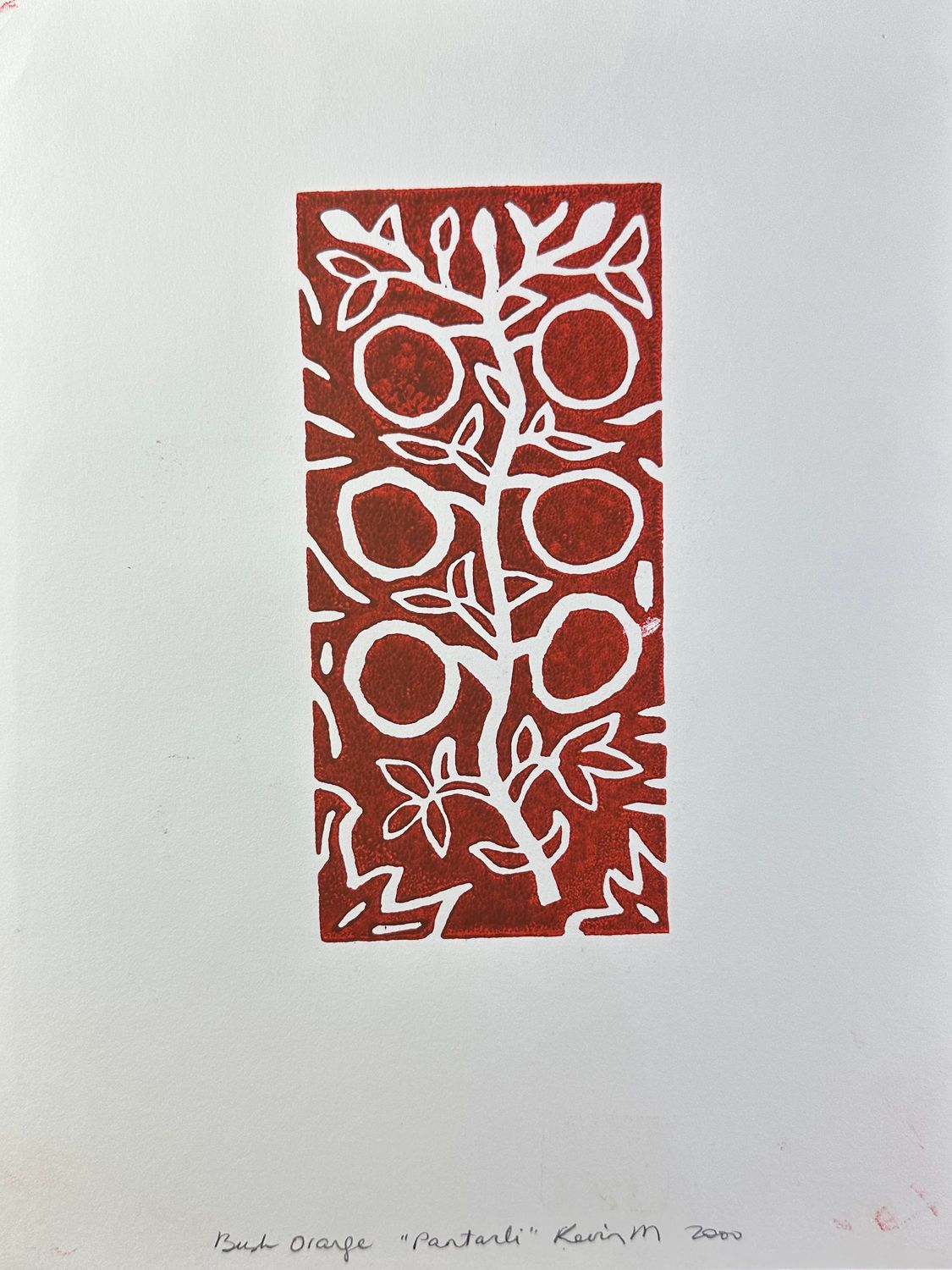 KEVIN M, Bush Orange "Pantarli", Screenprint, 2006