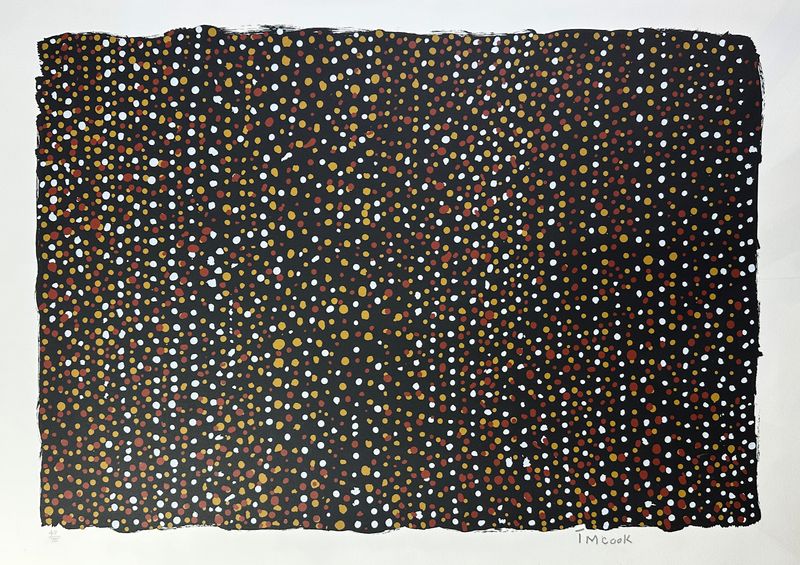 Timothy Cook, Limited Edition Screenprint