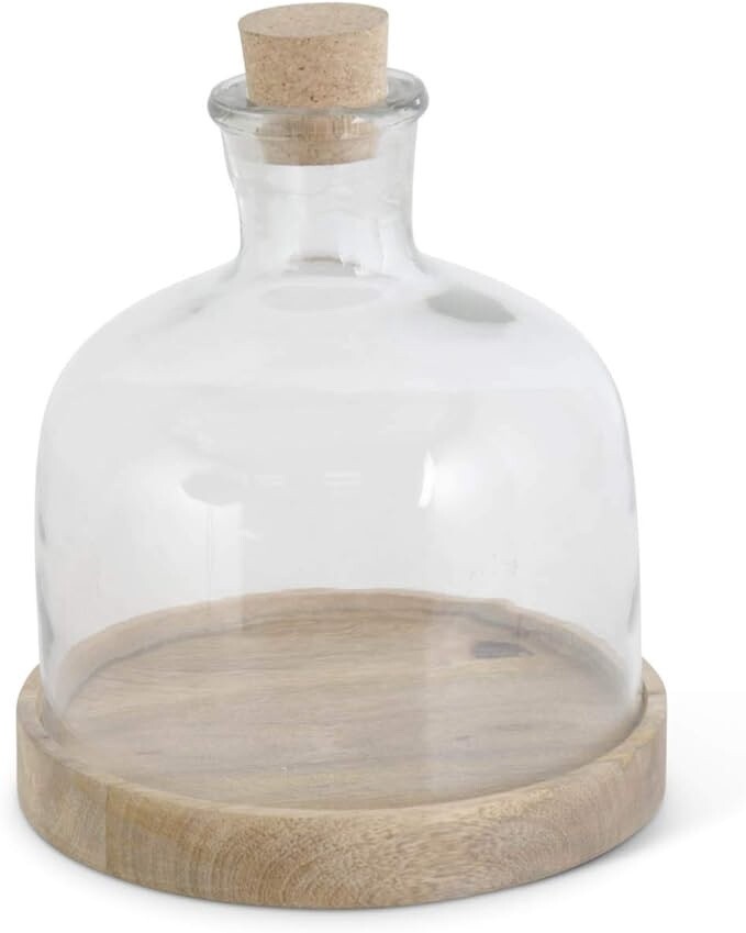 9.75&quot; Bottle Cloche on Wooden Base