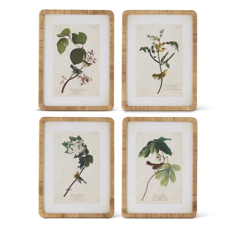 Assorted 23.25 Inch Bird/Botanical Print w/Rattan Frame