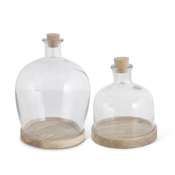14.25 Glass Bottle Cloche on Wooden Base