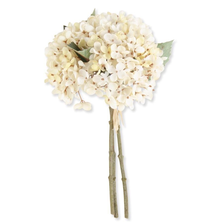 13 Inch Cream Two Tone Hydrangea Bottle (3 Stems)