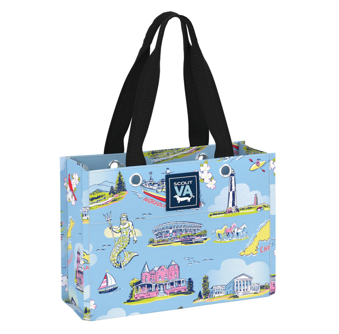 Tiny Package Gift Bag - Virginia