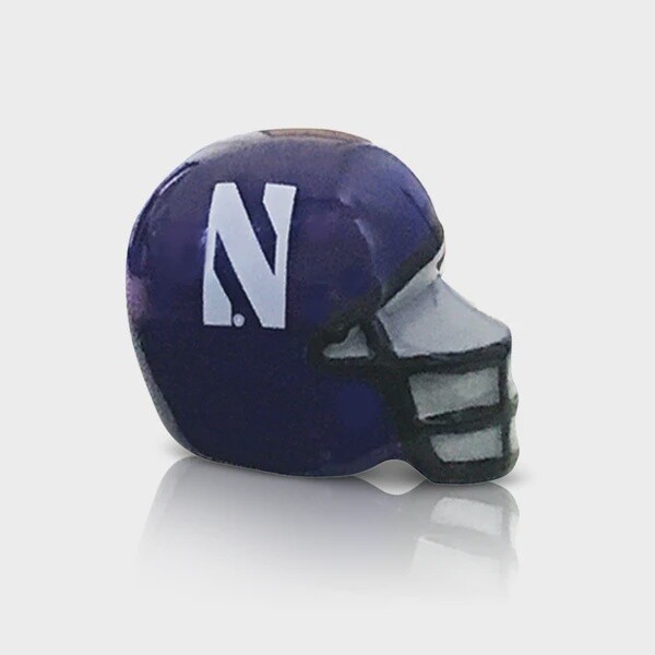 Northwestern University Helmet