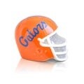 University of Florida Helmet
