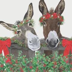 PB &amp; J Holiday Beverage Napkins