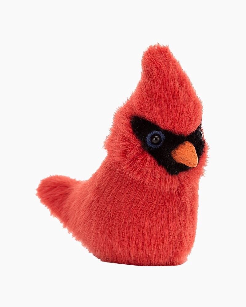Birdling Cardinal