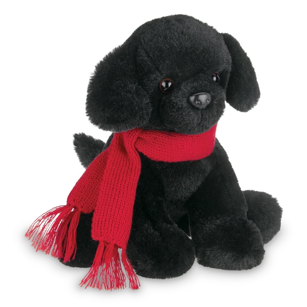 Mr. Cole The Black Dog