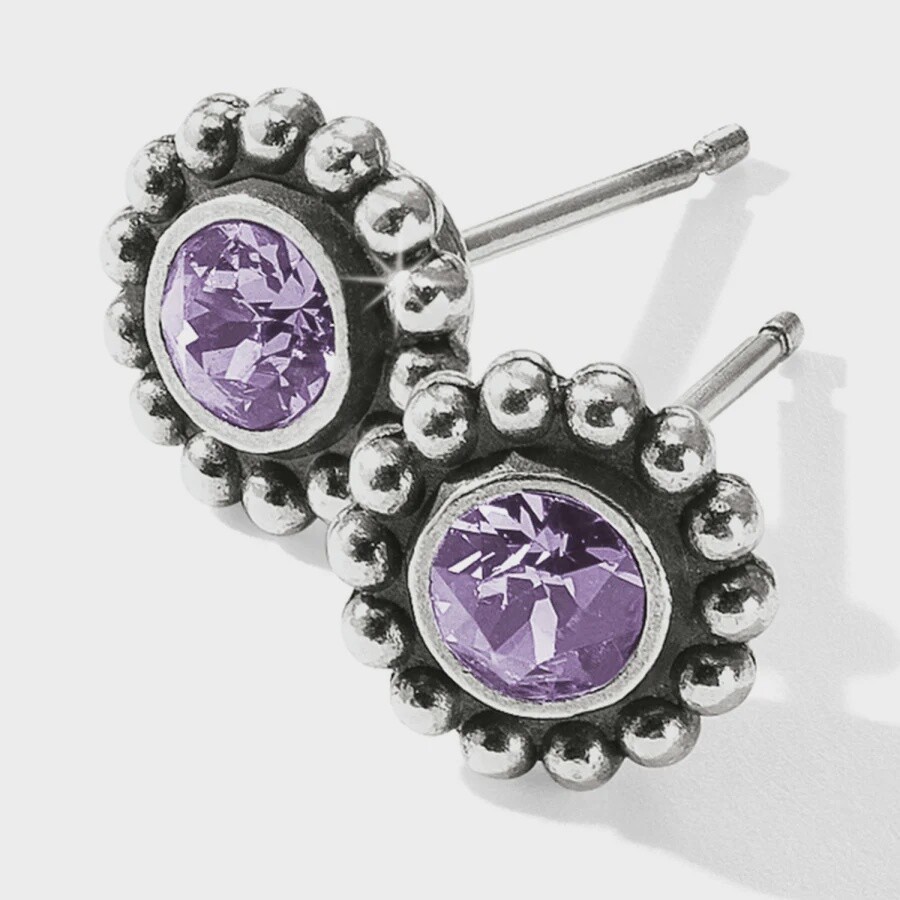 Twinkle Tanzanite Mini Post Earring