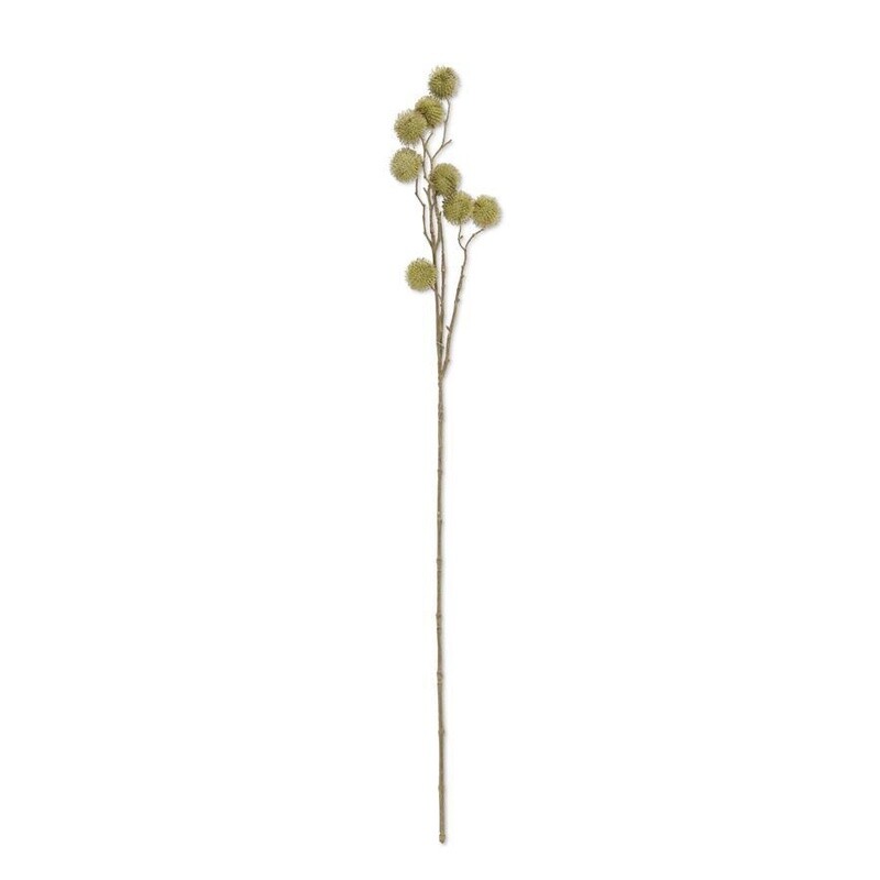 ___32 Inch Green Sycamore Fruit Ball Stem
