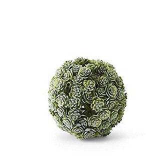 4 Inch Succulent Ball