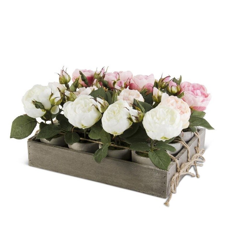 Potted Roses w/Wood Tray