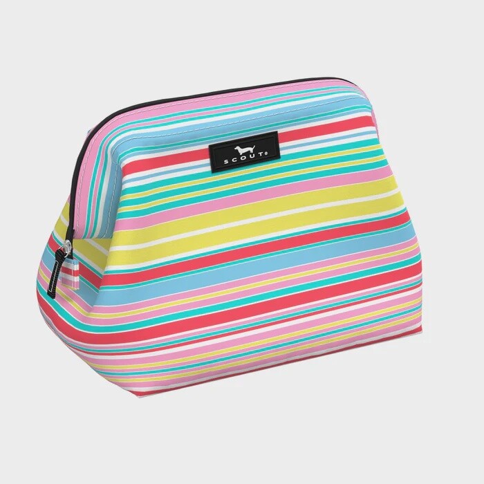 Little Big Mouth Makeup Bag - Ripe Stripe