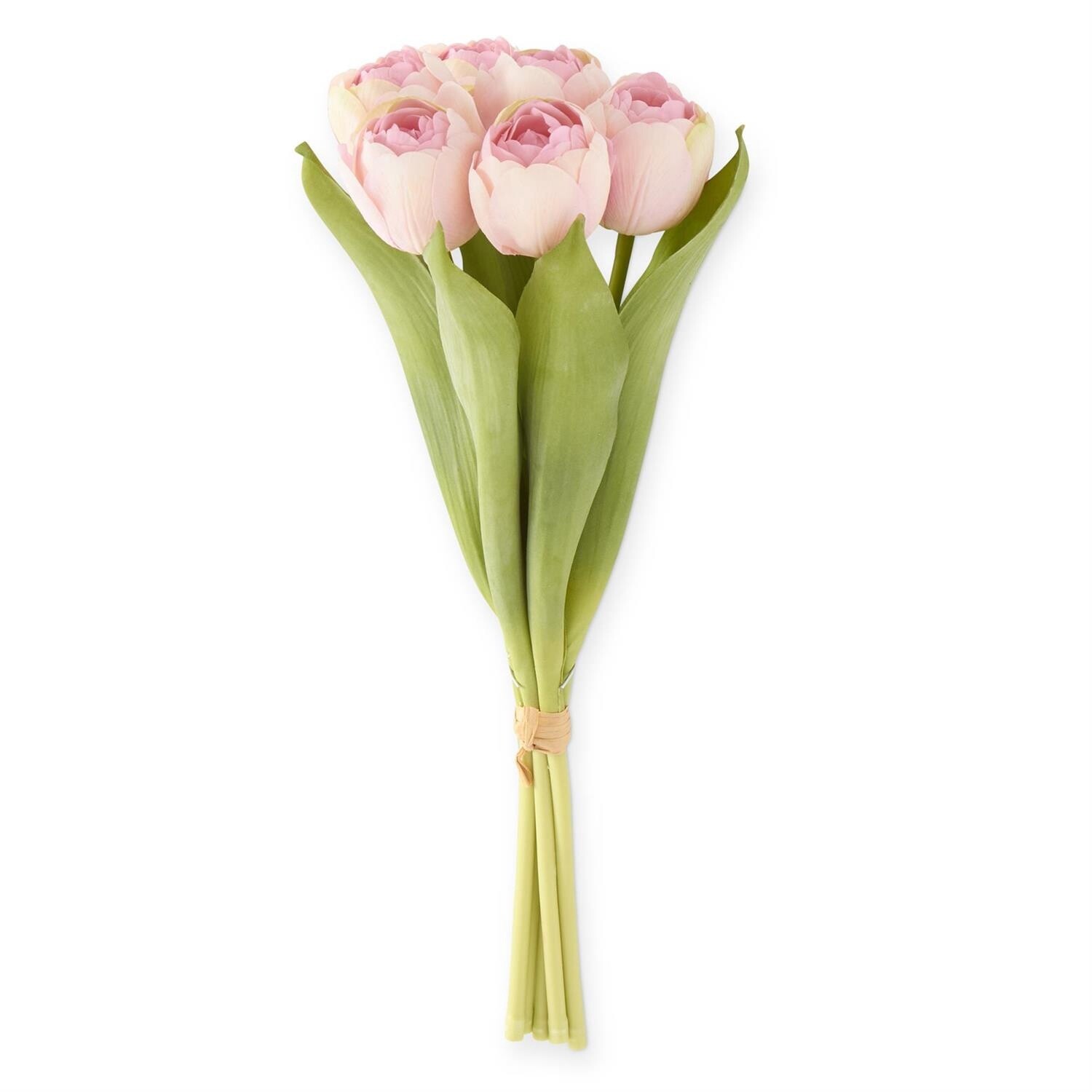 Pink Tulip Bundle (6 Stems)