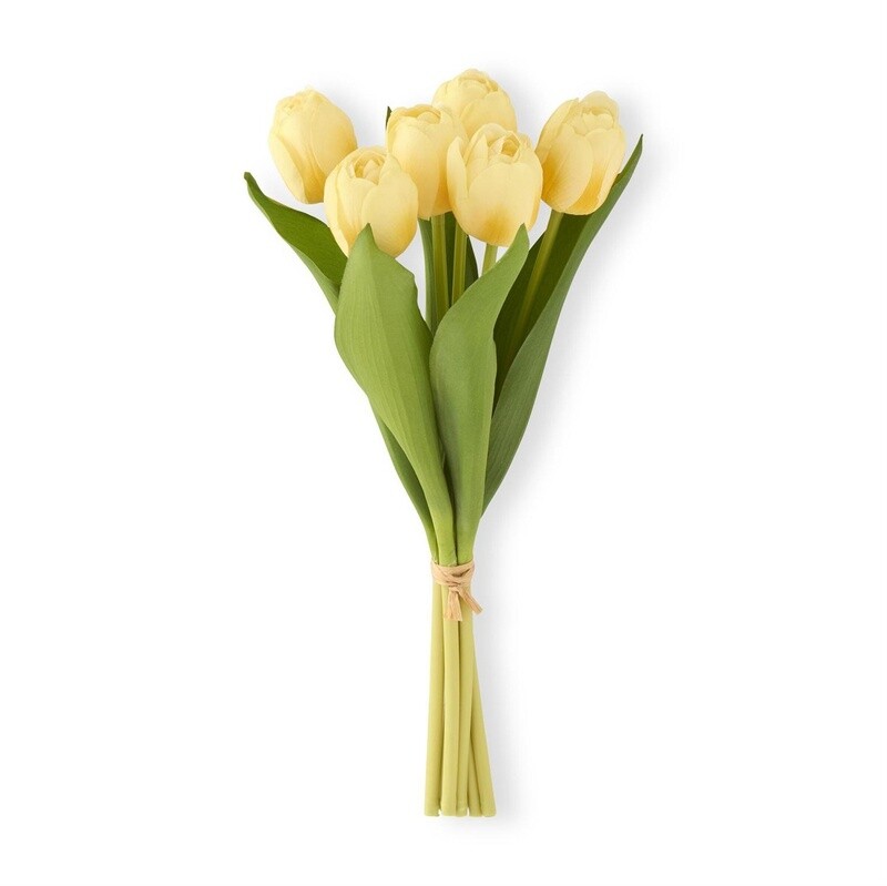 Light Yellow  Tulip Bundle (6 Stems)